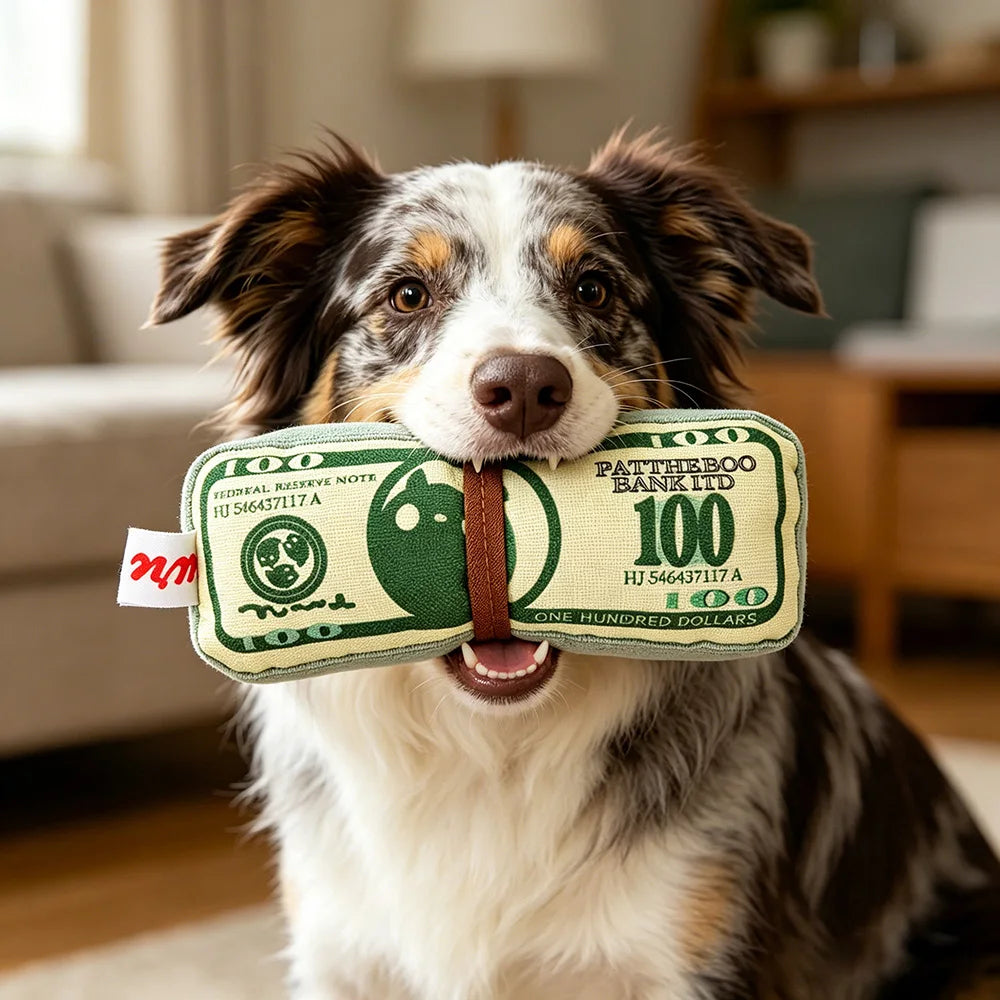 MoneyRoll Squeaky Crinkle Pet Toy