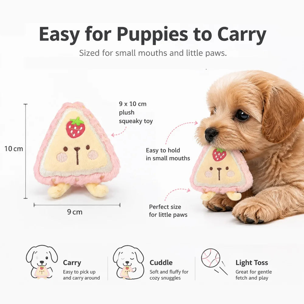 SnackTime Squeaky Plush Dog Toy